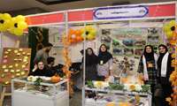 برپایی غرفه از سوی معاونت دانشجویی و فرهنگی دانشکده به مناسبت حضور دانشجویان جدیدالورود 1404