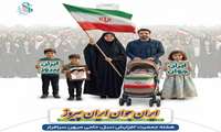 راهکارهای اجتماع‌محور در تحقق سیاست‌های جوانی جمعیت: تأکید بر شبکه‌سازی محله‌ای